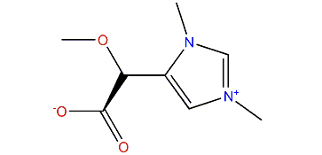(+)-Echinobetaine B